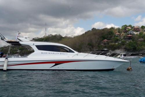 Private BoatTrip Blue Marlin Bali 3 - 2