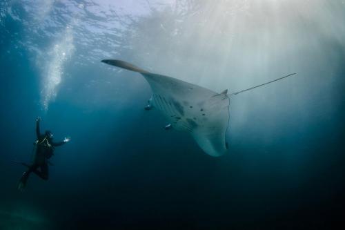 Bali Hai Cruises: Sail into Paradise - 18
