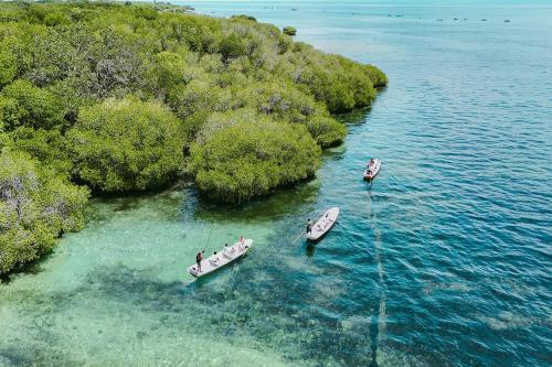 Bali Hai Cruises: Sail into Paradise - 10