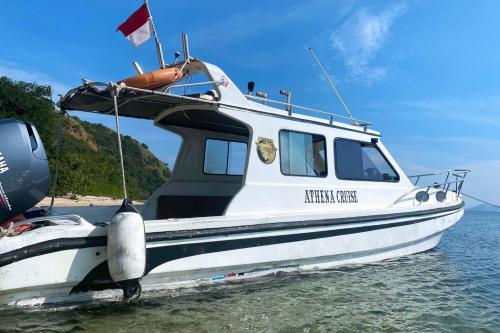 Tour Pulau Komodo Dengan Athena Cruise - 3