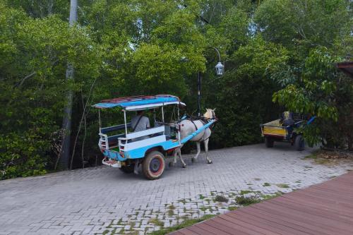 Gili Trawangan All Inclusive Tour 2D1N or 3D2N - 2