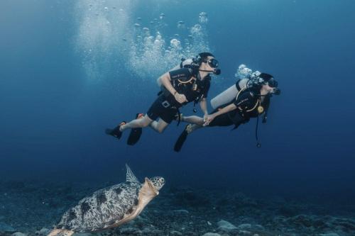 Dive Around Gili Trawangan's Paradise - 7