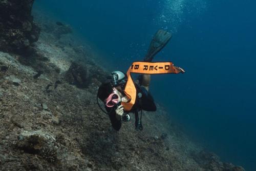 Dive Around Gili Trawangan's Paradise - 4