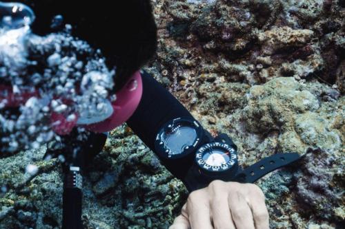 Dive Around Gili Trawangan's Paradise - 5