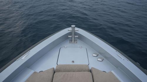 Vedanta Boat: High-Speed Luxury Charter - 2